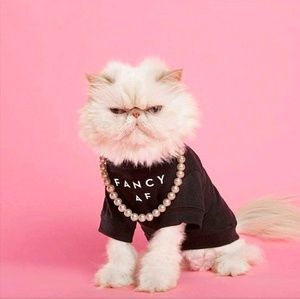 Meet your Posher, Mina